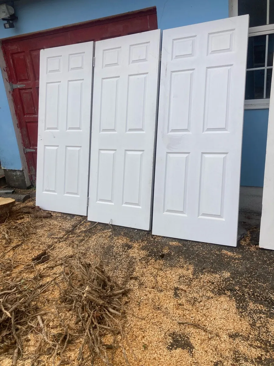 Doors - Image 1