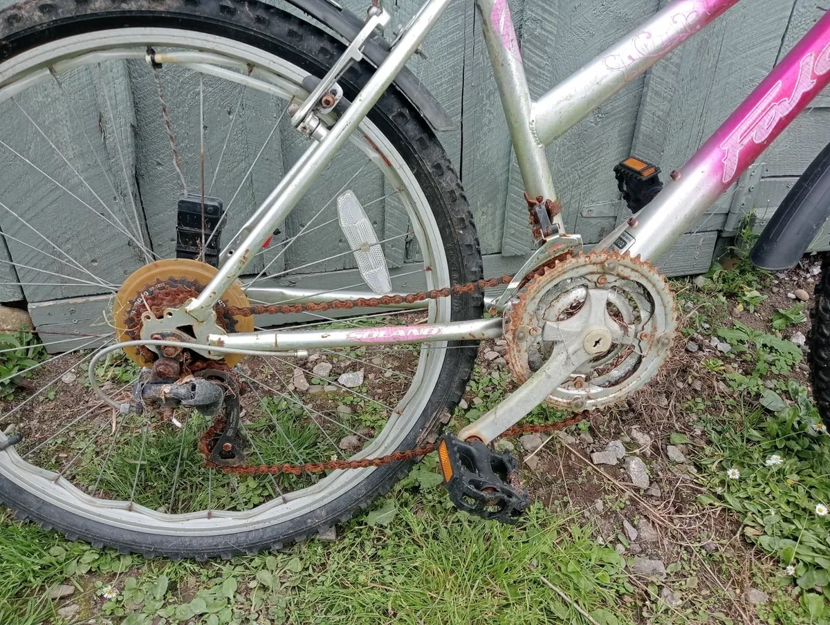 Girl's Bike - Image 4