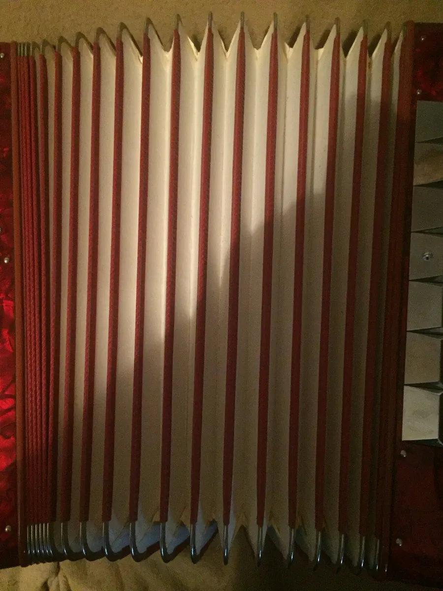 Button accordian - Image 2