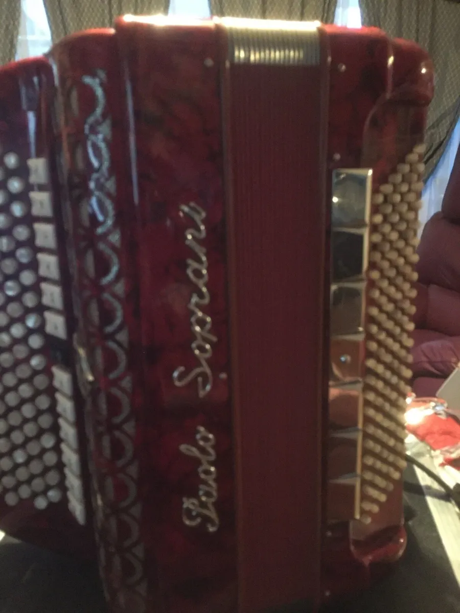 Button accordian - Image 4