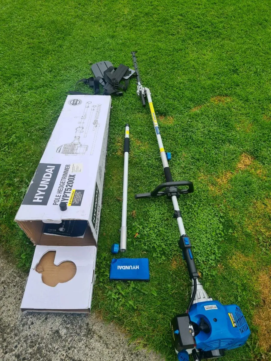 Hyundai Pole Hedge Trimmer - Image 1