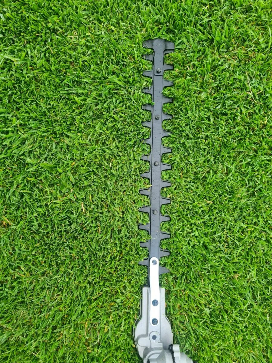 Hyundai Pole Hedge Trimmer - Image 4