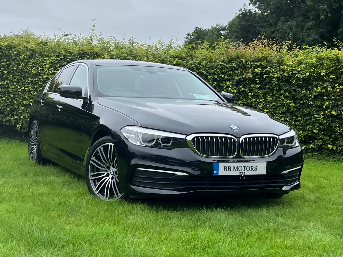 BMW 5-Series 530d SE Auto - Image 2