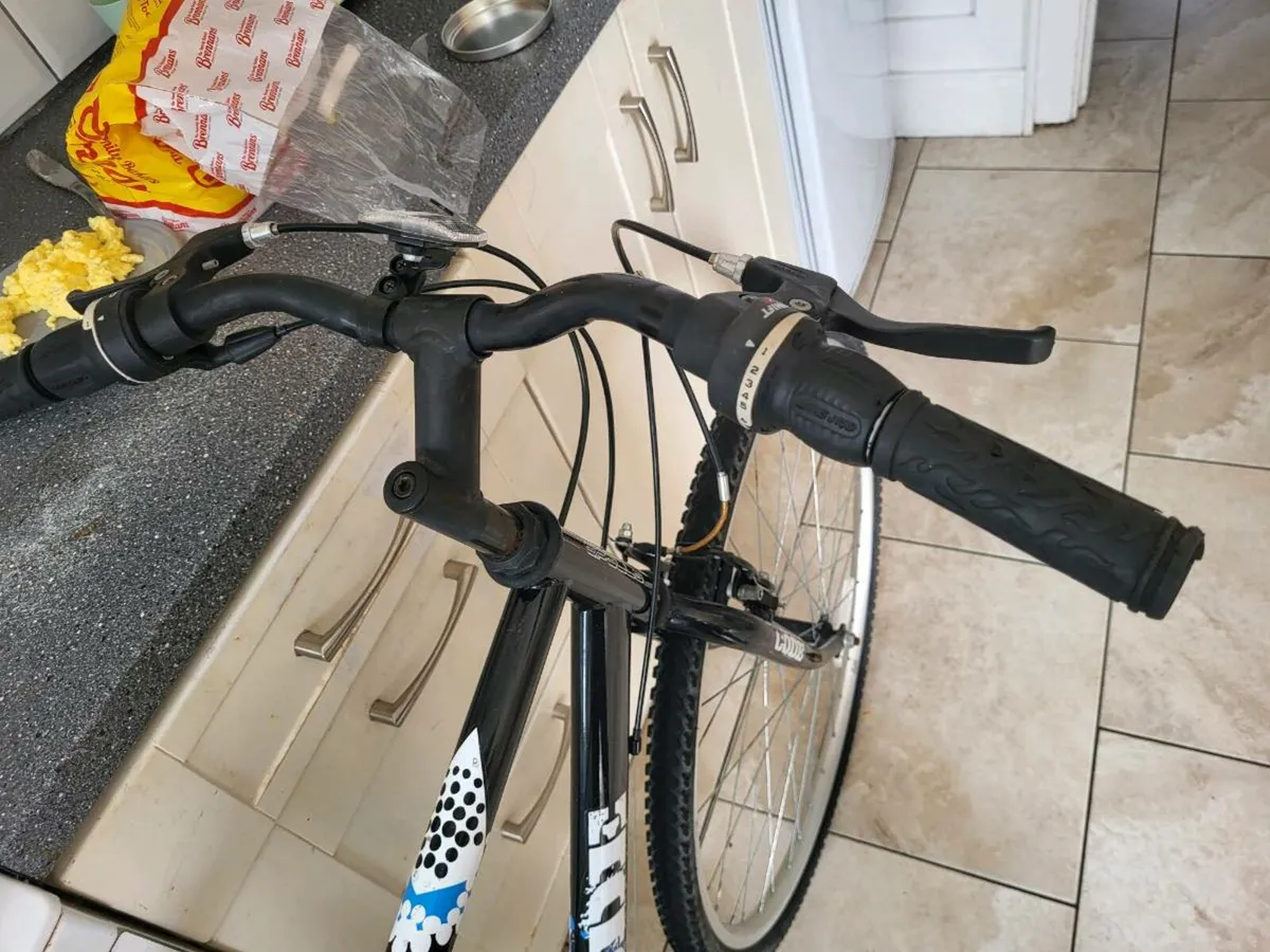 Bike - Image 2