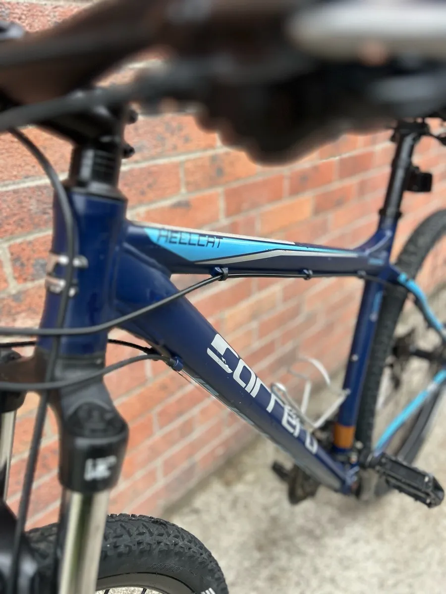 Carrera Hellcat Mountain Bike - Image 3