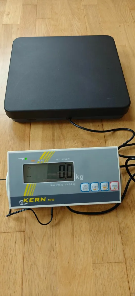 Weighing Scale Max-300Kg - Image 1