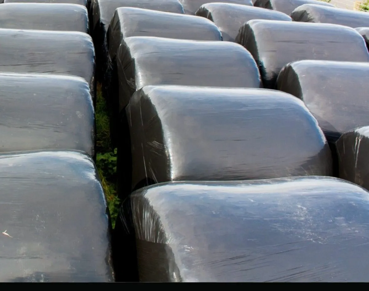 Silage bales - Image 1