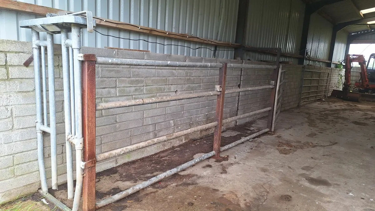 Farm gates - Image 2