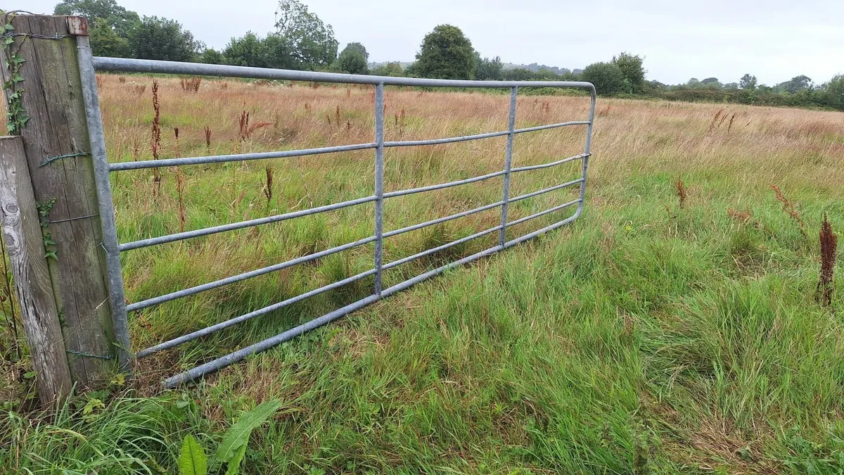 Farm gates - Image 4
