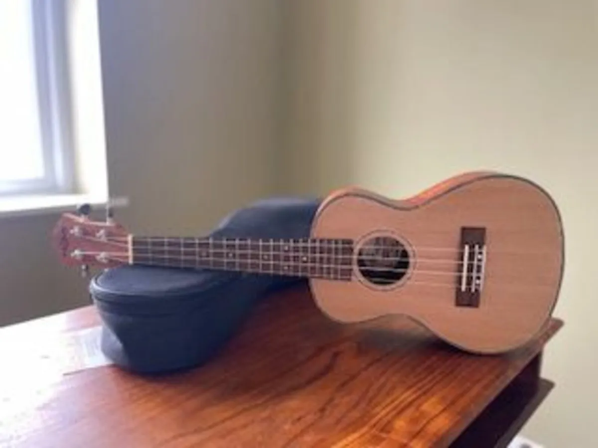 New Ukulele - Image 1