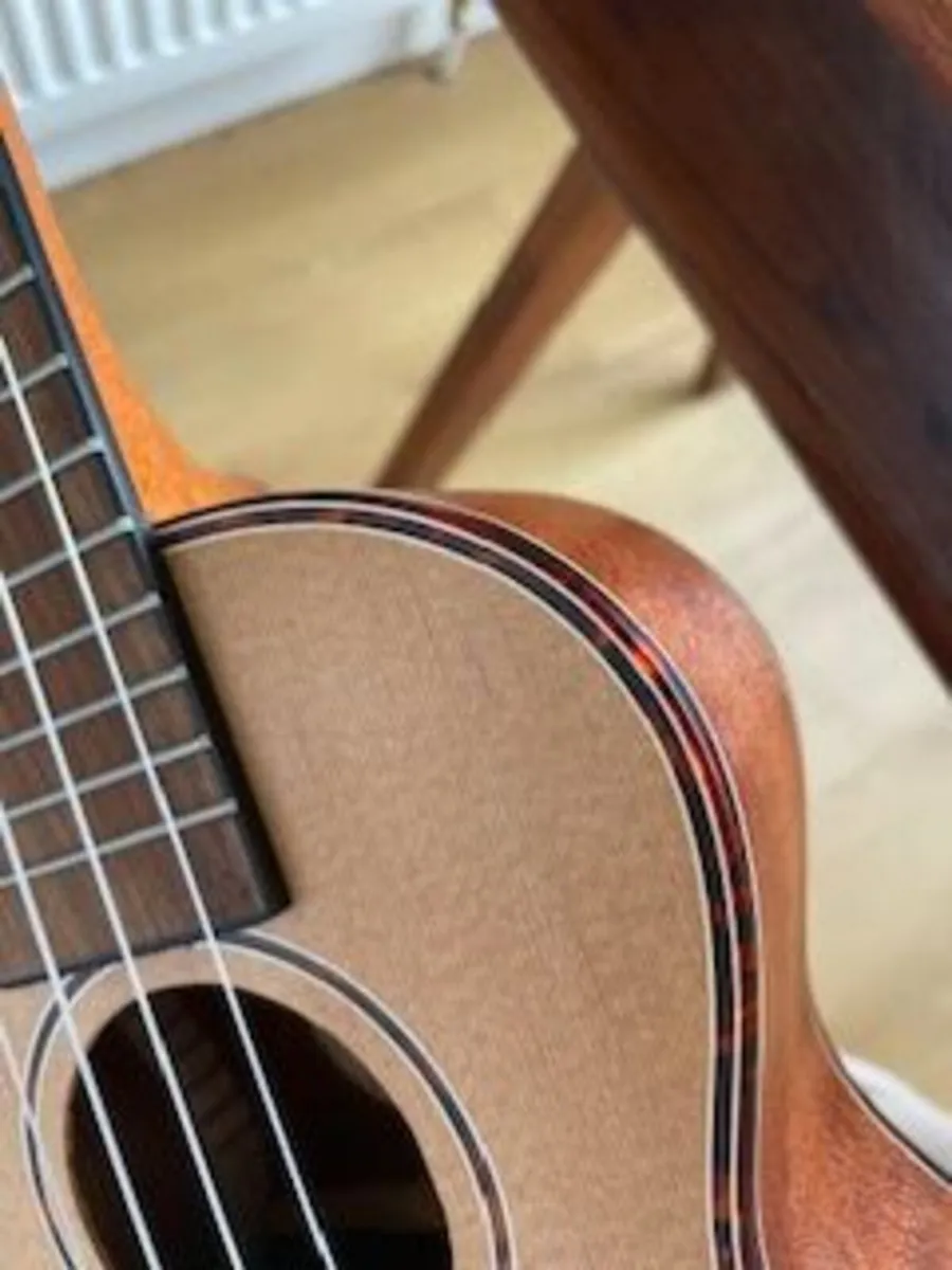 New Ukulele - Image 3