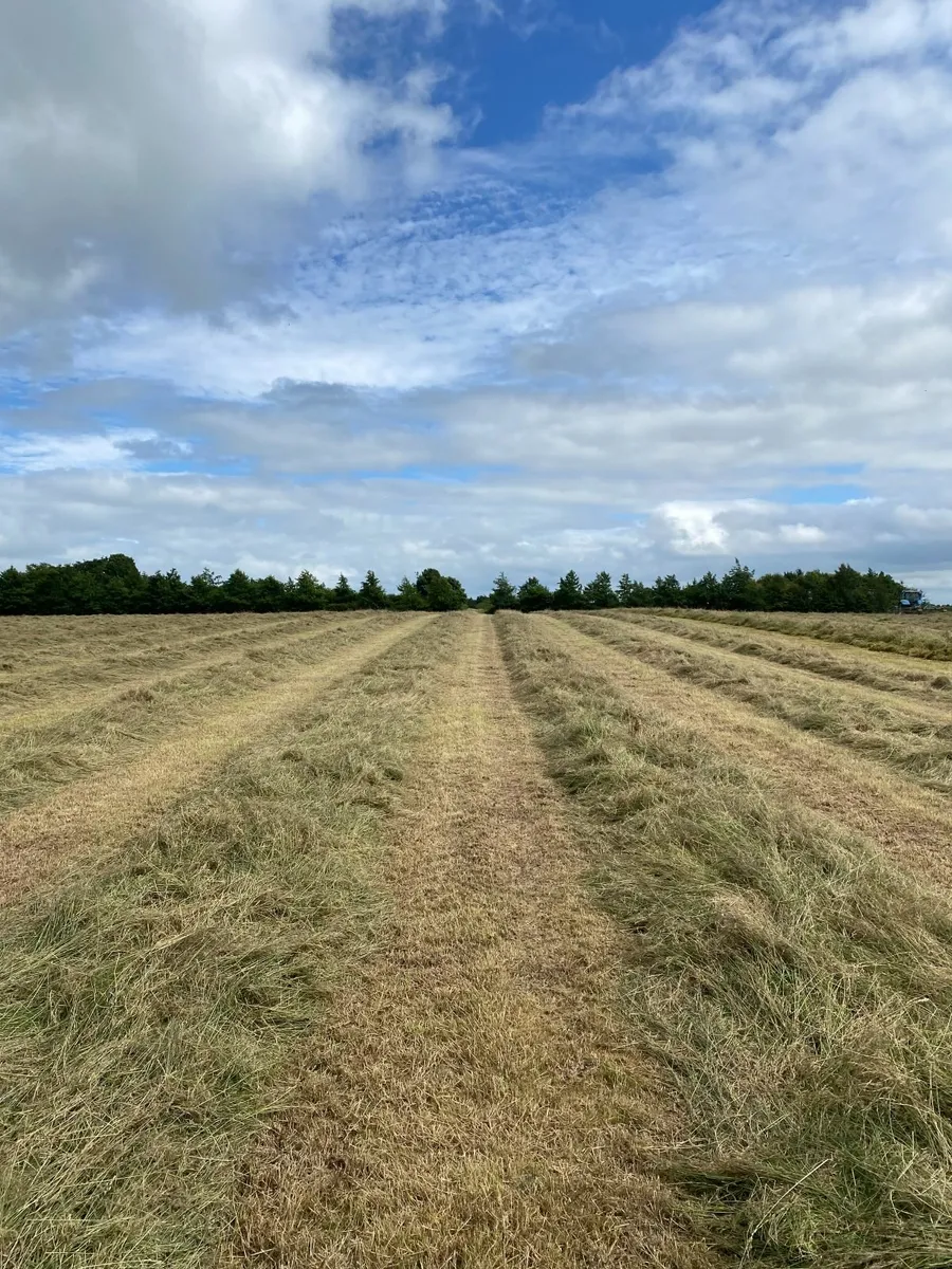 Silage Bales - Image 2