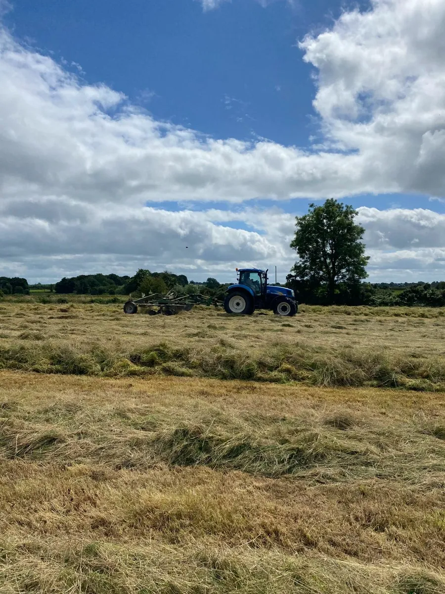 Silage Bales - Image 3