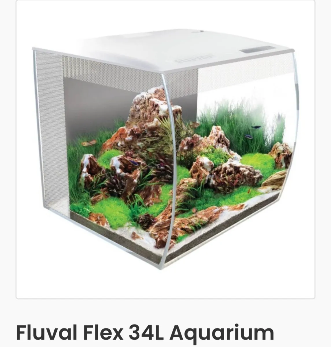 Aquarium 34L with 6 fish - Image 1