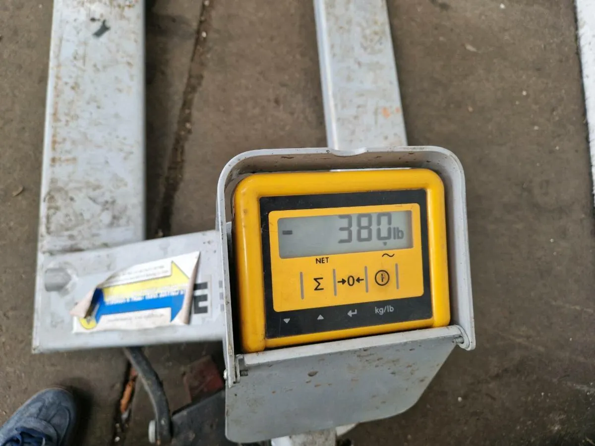 Pallet Truck Scales - Image 2
