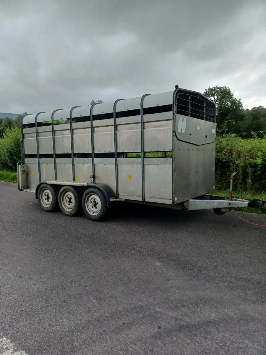 HUDSON 14FT.  3 axle , CATTLE TRAILER - Image 2