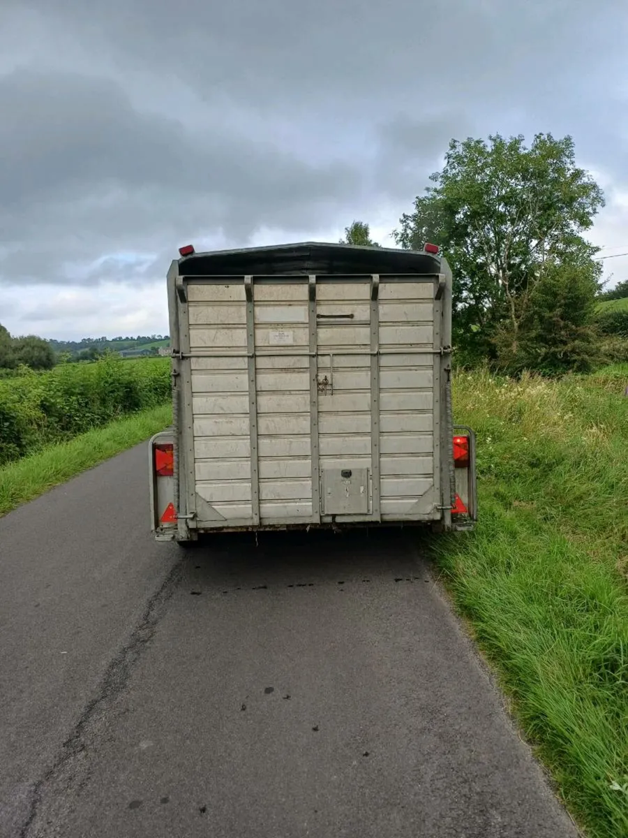 HUDSON 14FT.  3 axle , CATTLE TRAILER - Image 3