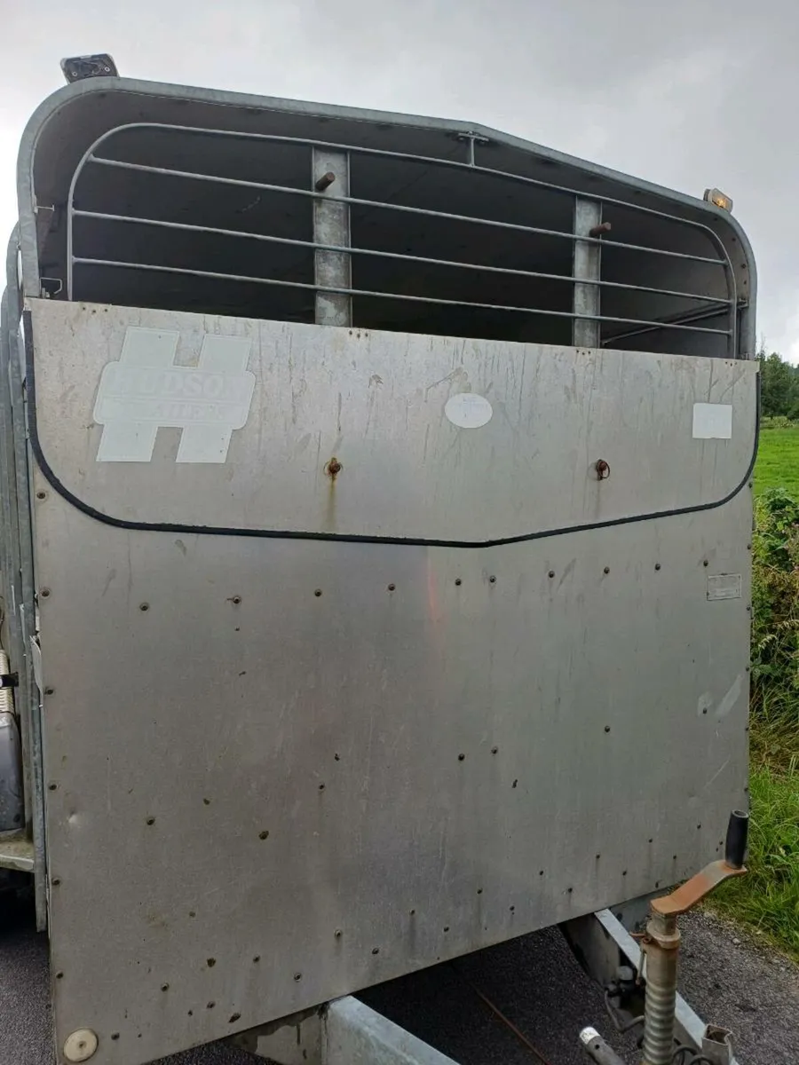 HUDSON 14FT.  3 axle , CATTLE TRAILER - Image 4
