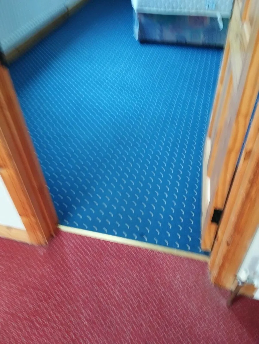 carpet - Image 1