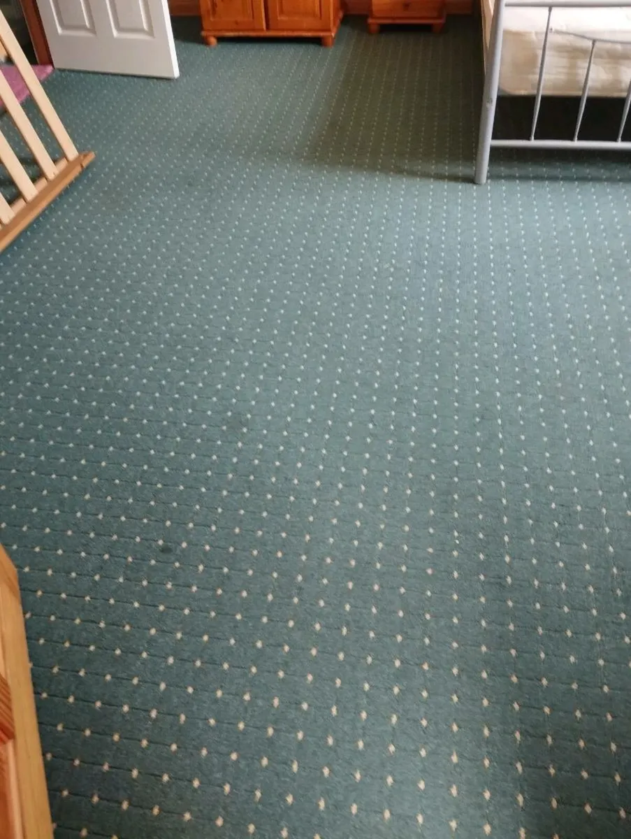 carpet - Image 2