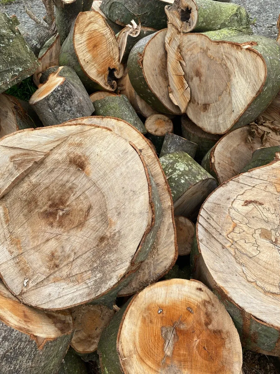Firewood - Image 1