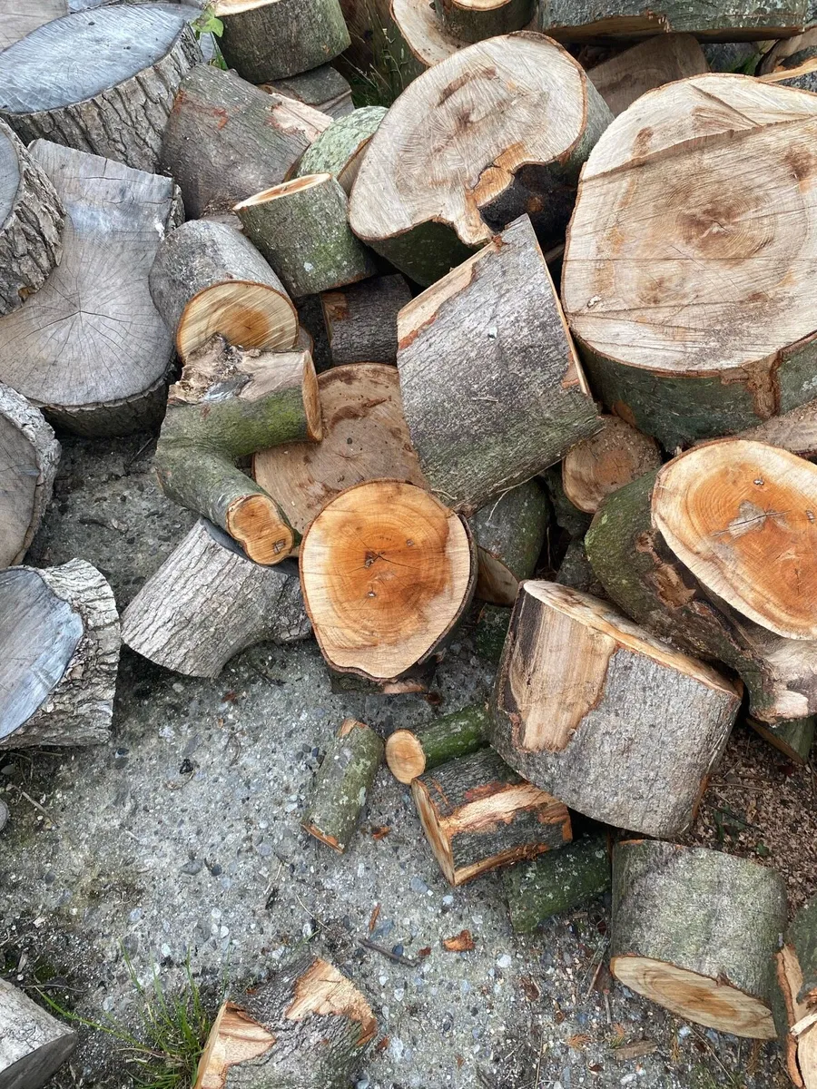 Firewood - Image 2