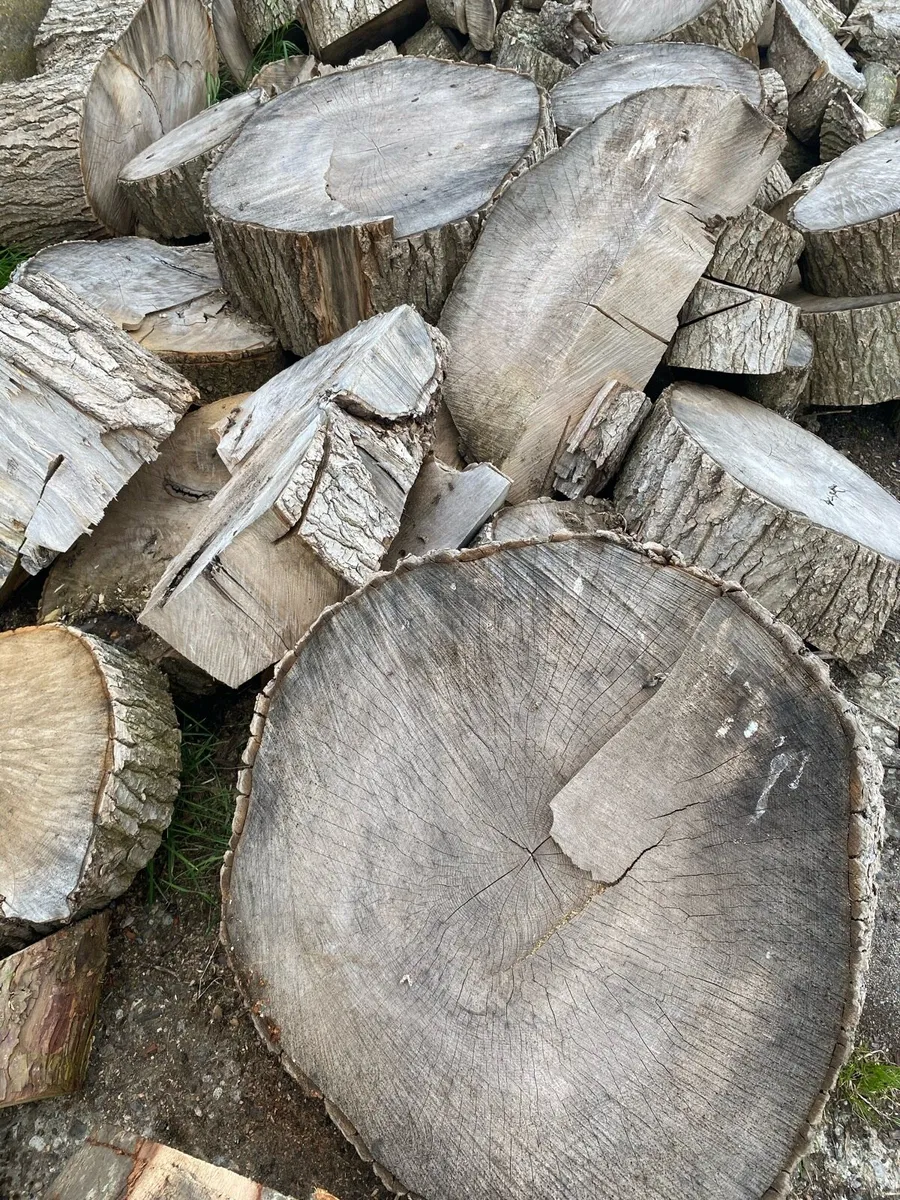 Firewood - Image 3