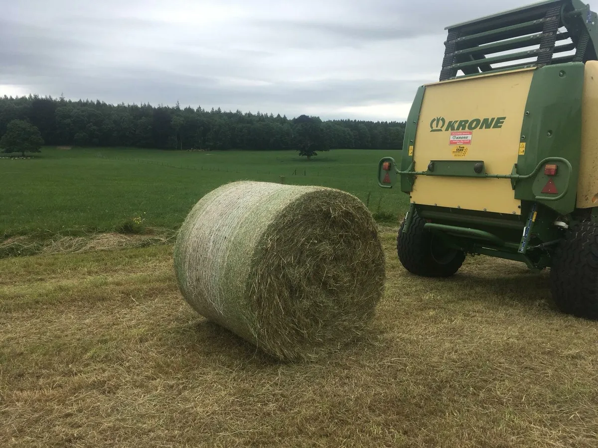 25acers silage ground