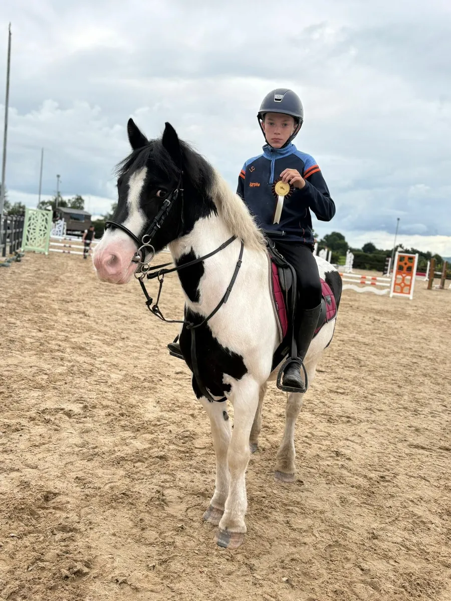 Perfect competition pony - Image 2