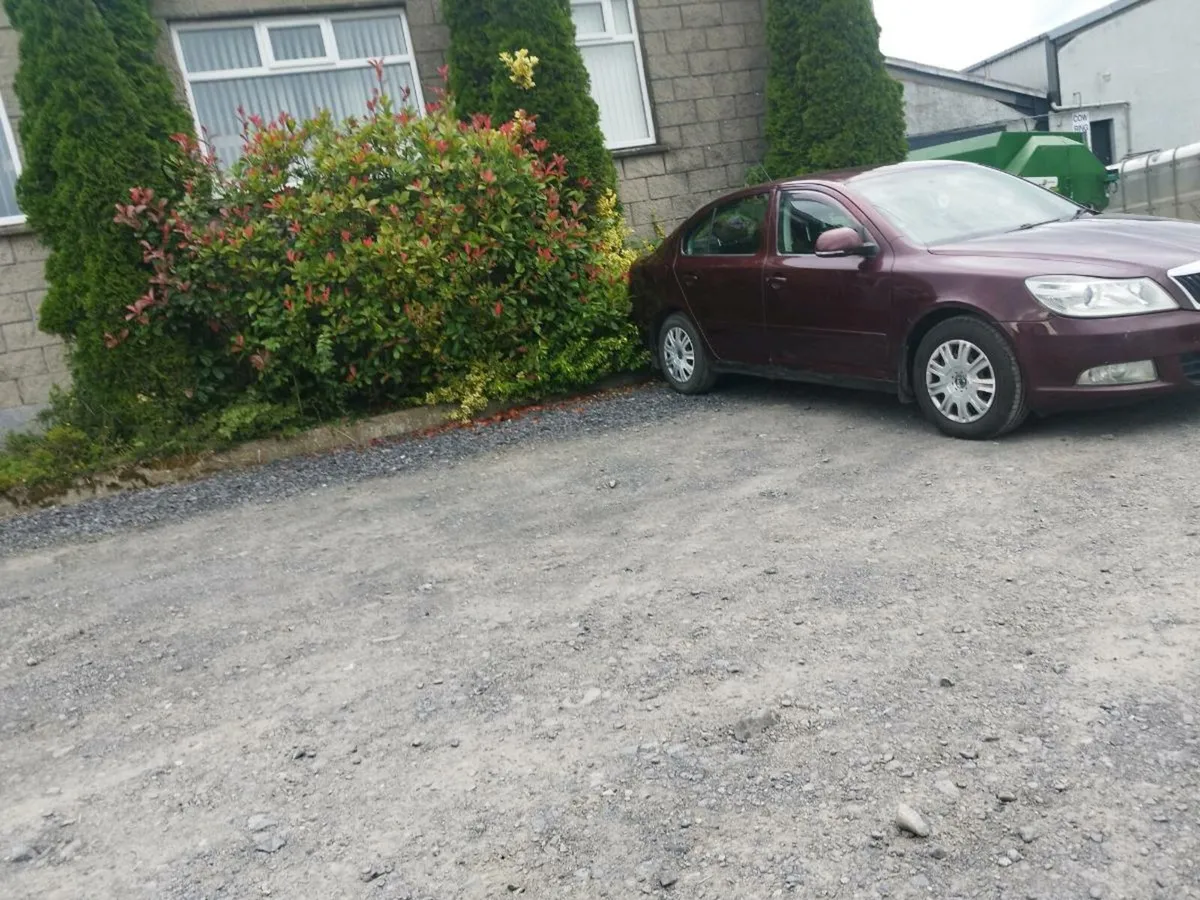 Skoda Octavia 1.6 - Image 2