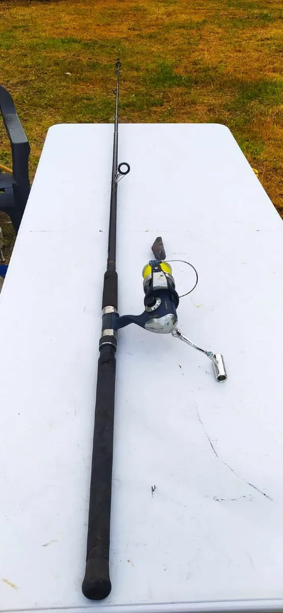 Fishing Rod Collection - From €20 - €60 - Image 1