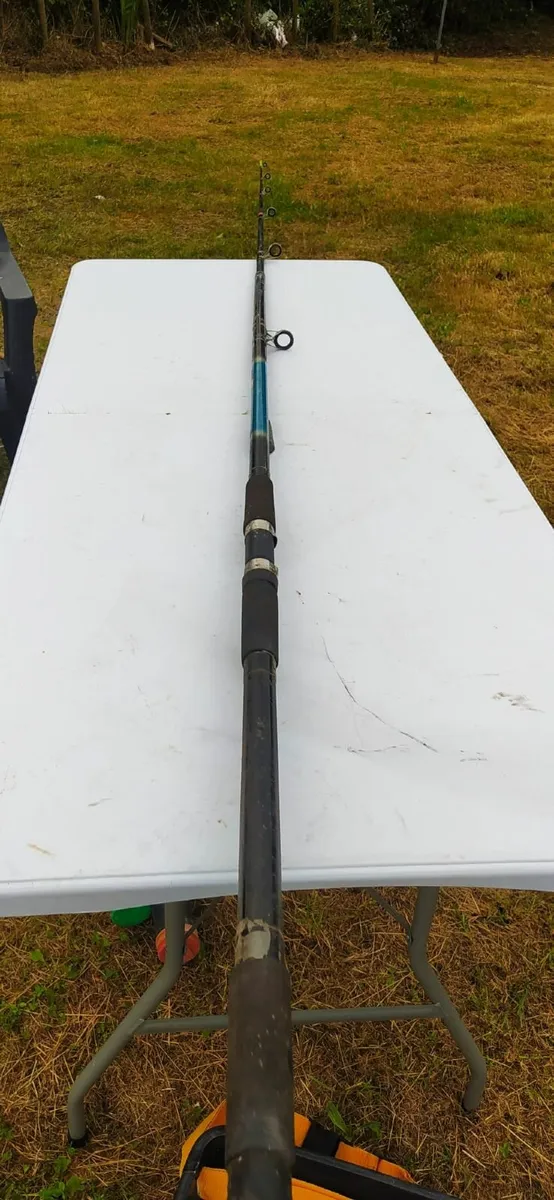 Fishing Rod Collection - From €20 - €60 - Image 2