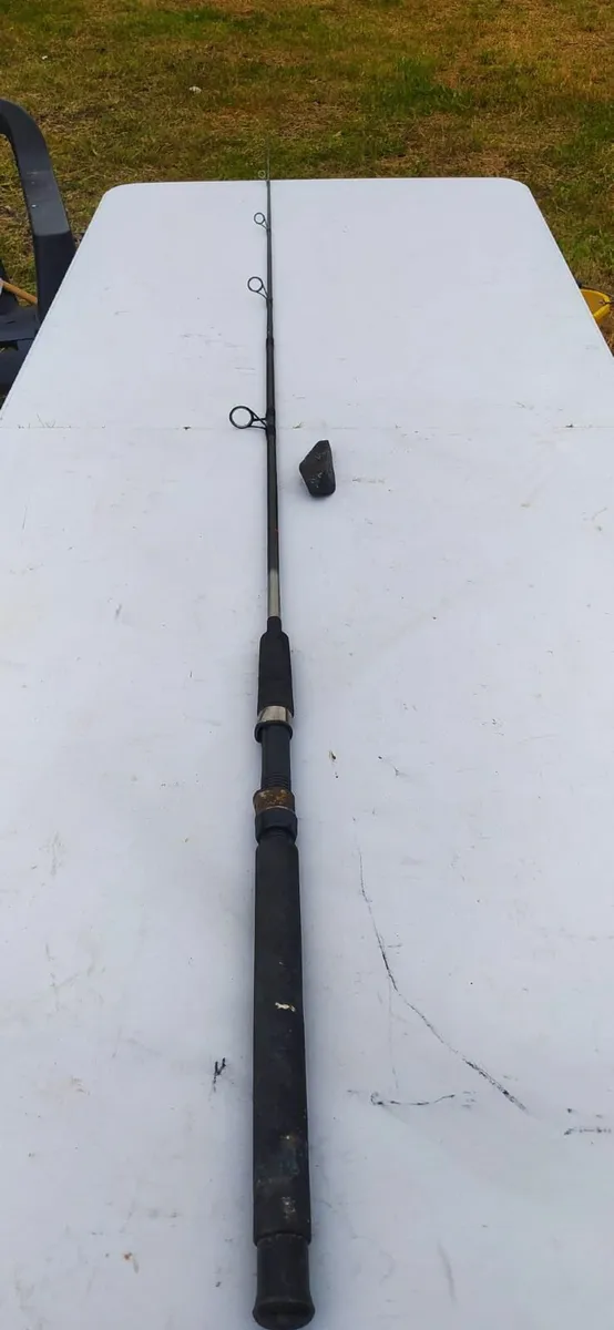 Fishing Rod Collection - From €20 - €60 - Image 4