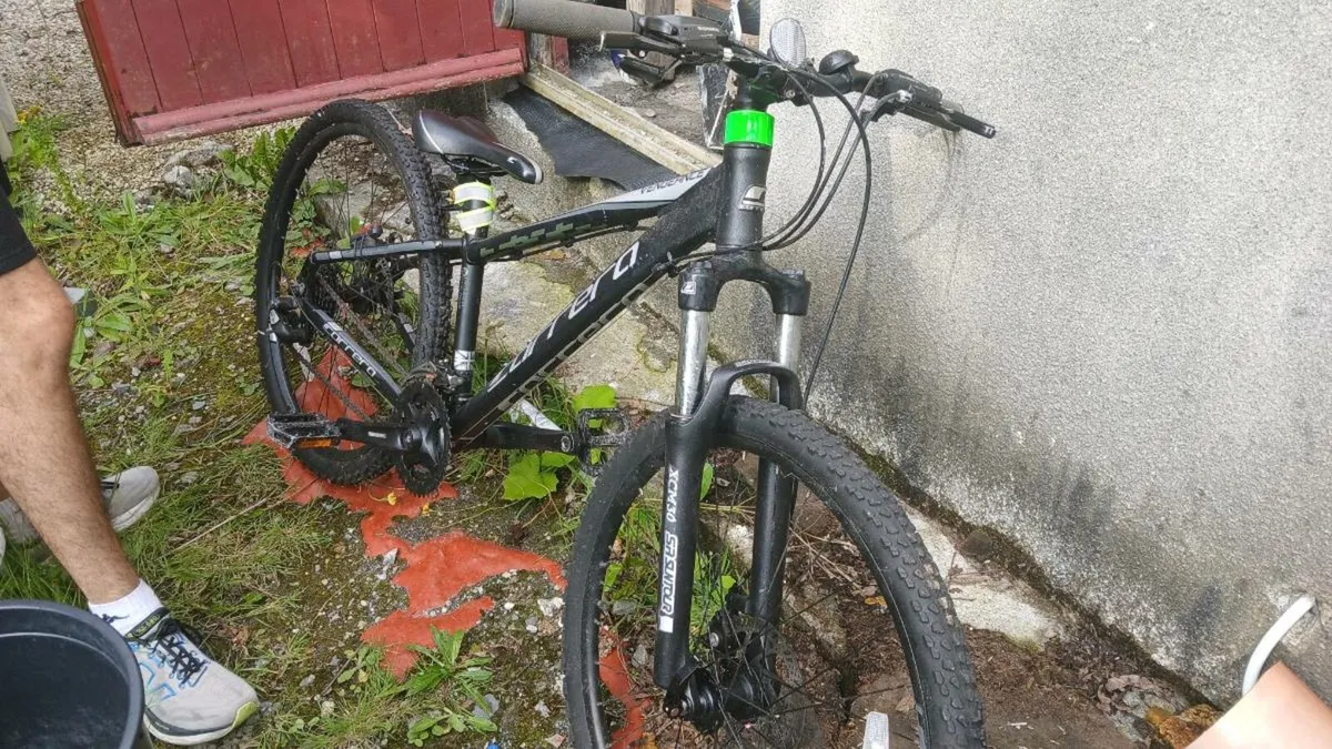 Bike - Image 1