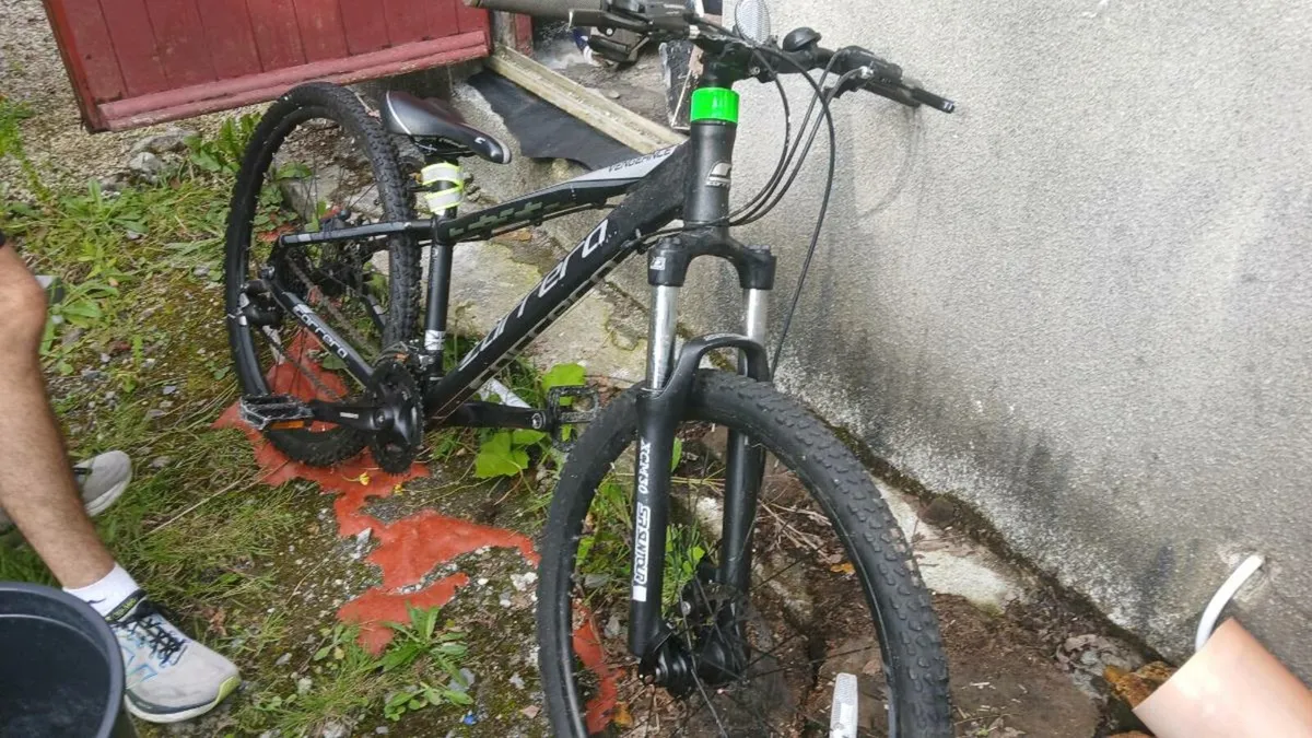 Bike - Image 2