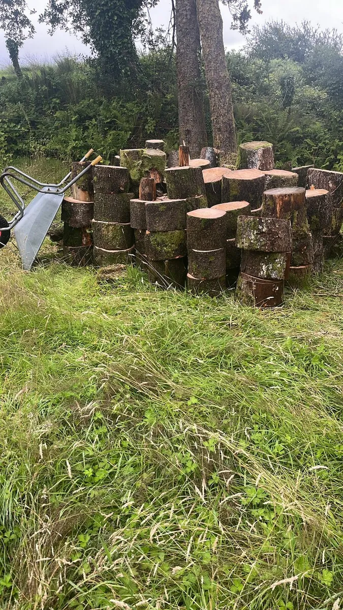 Firewood