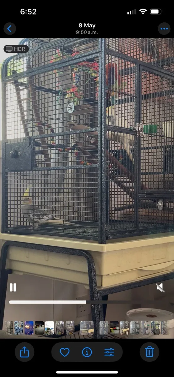 Parrot cage