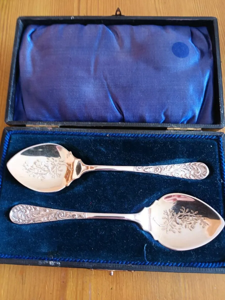 Pair  of Antique  Jam/ Preserve Spoons - Image 1