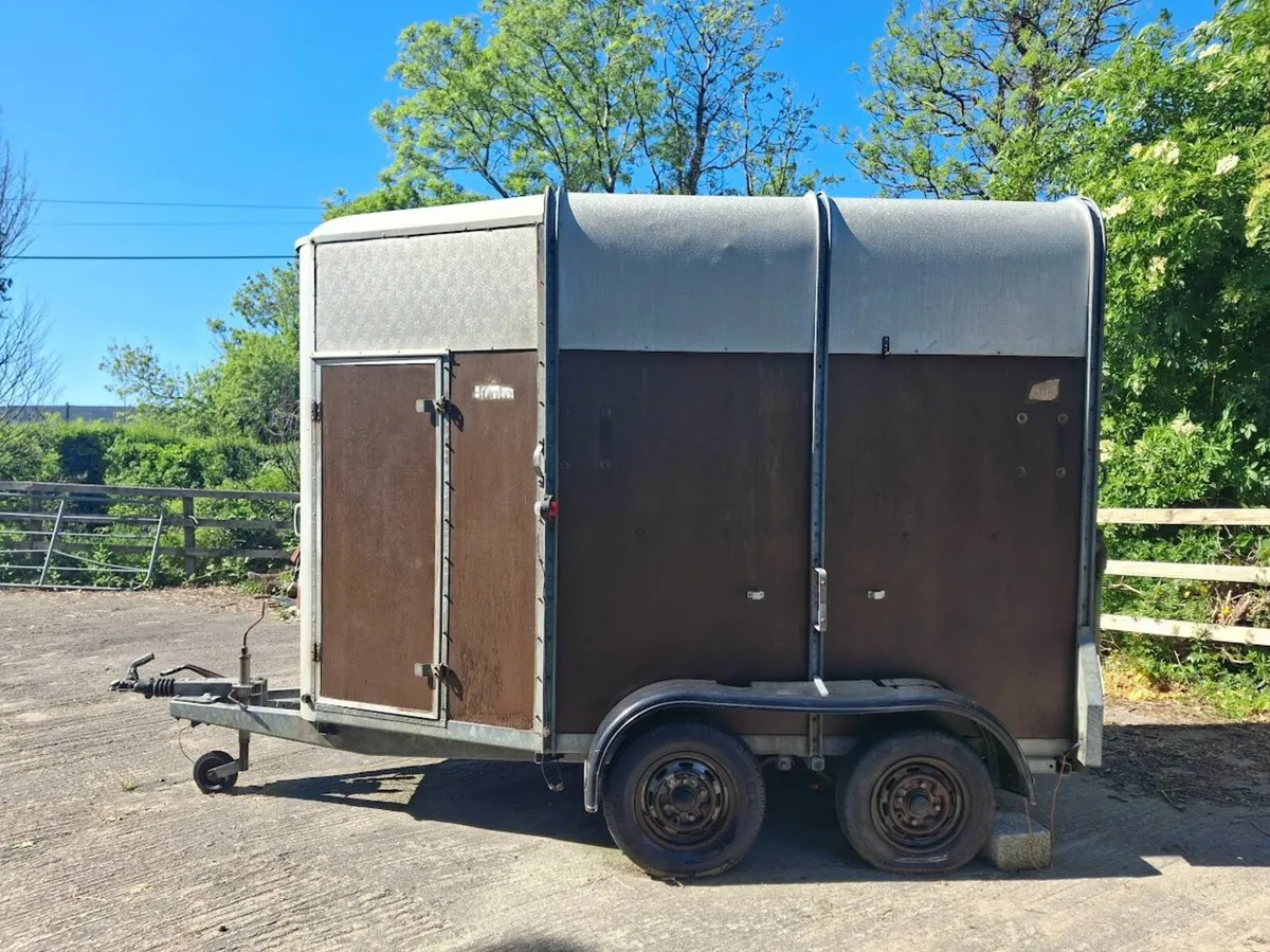 Ifor Williams 505 Horsebox