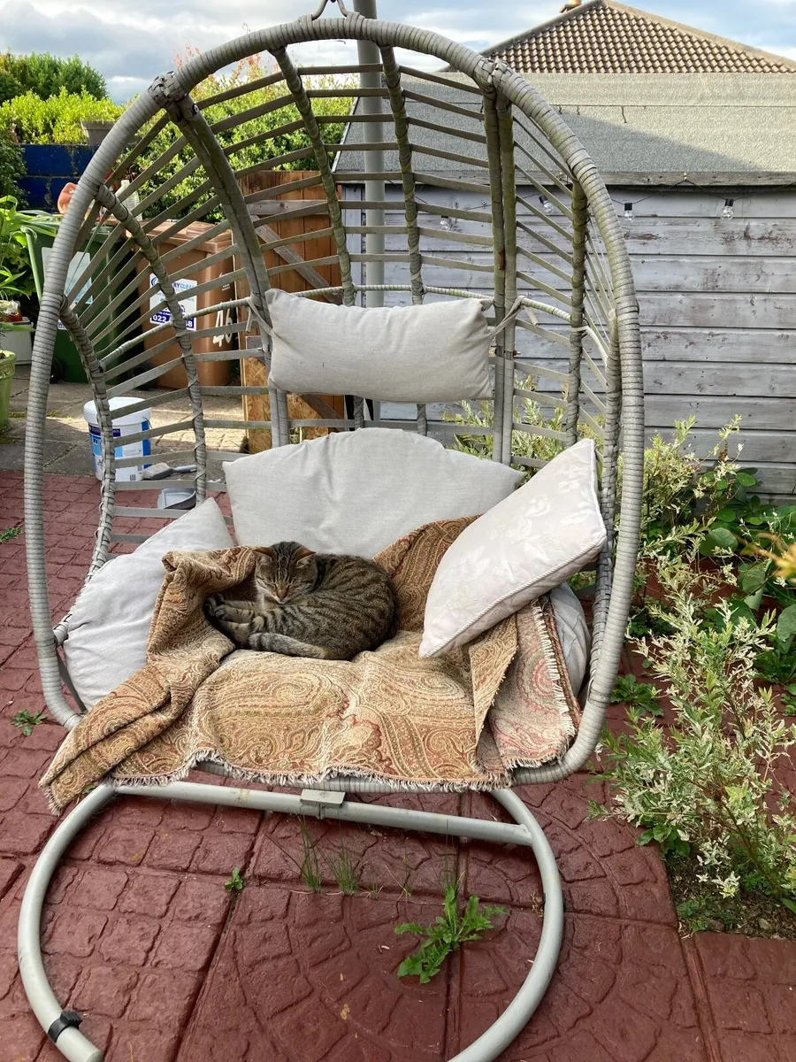 Garden egg chair - Image 2