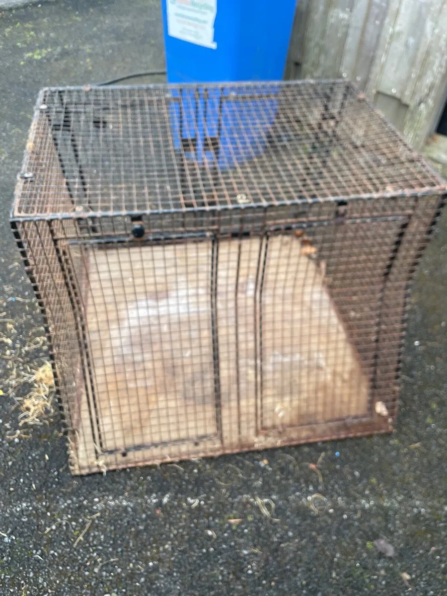 Dog Kennel - Image 2