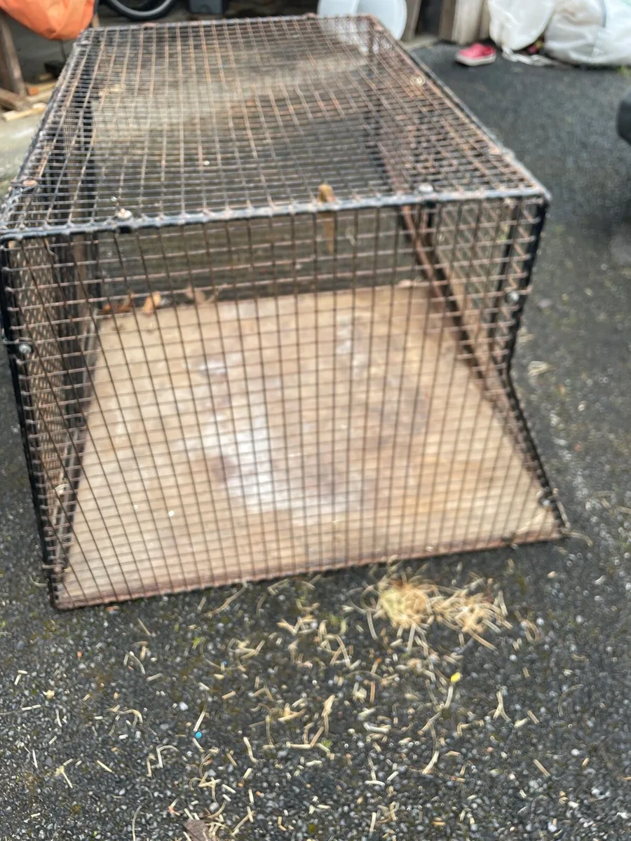 Dog Kennel - Image 3