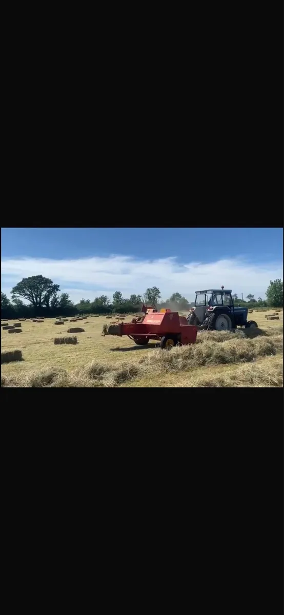 Hay square bales - Image 3