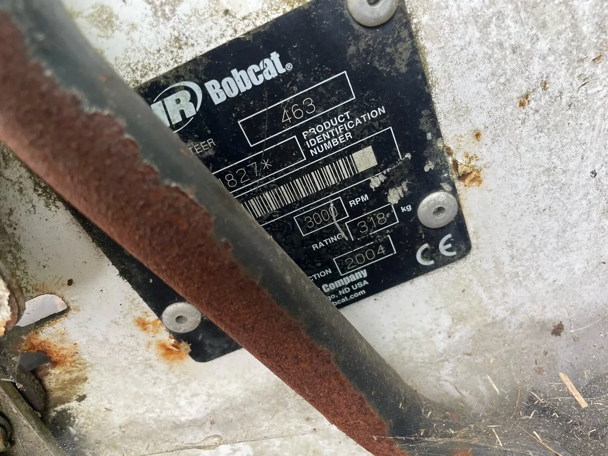 Bobcat - Image 2