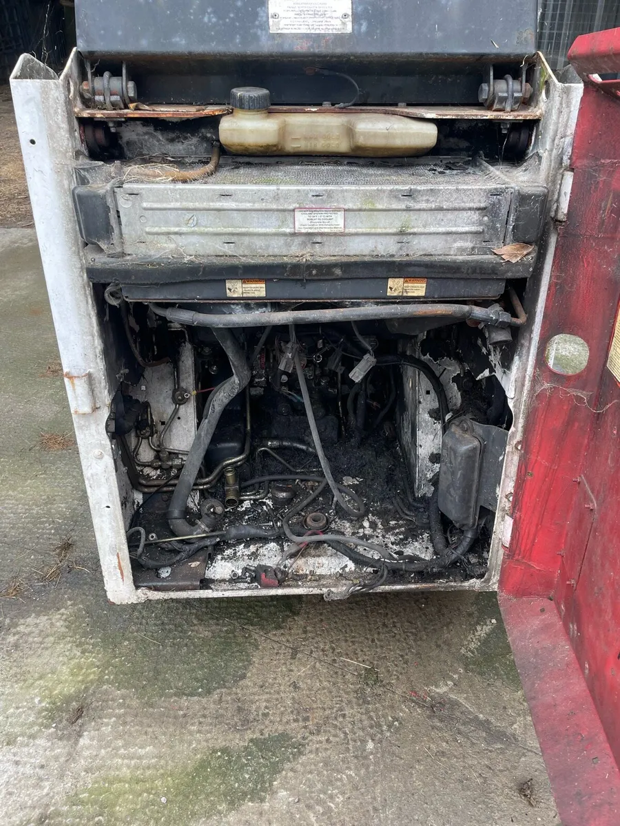 Bobcat - Image 4
