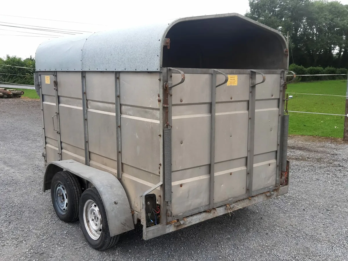 cattle box 8+5 - Image 2