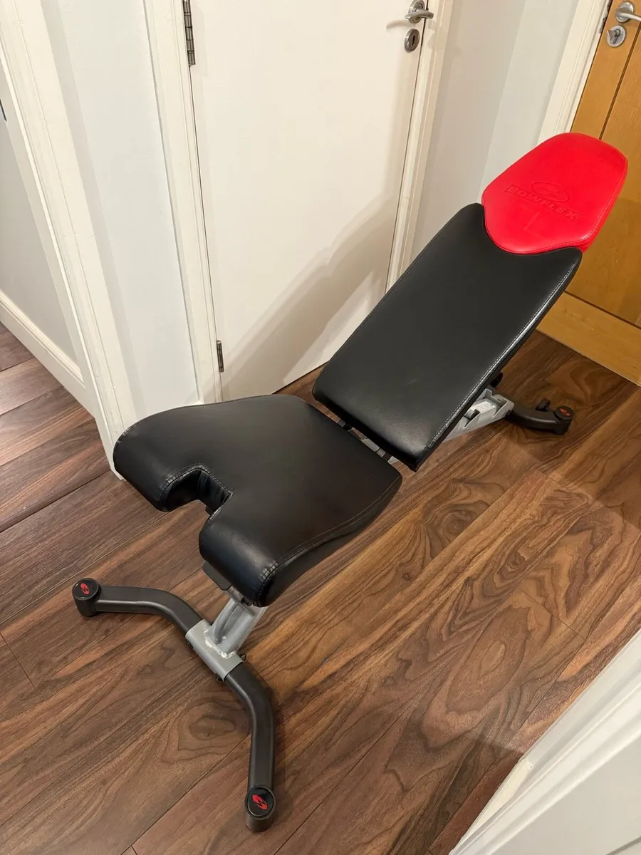 Blowflex Gym bench - Image 1