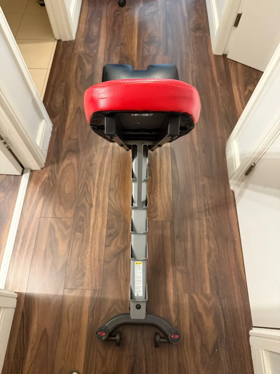 Blowflex Gym bench - Image 3