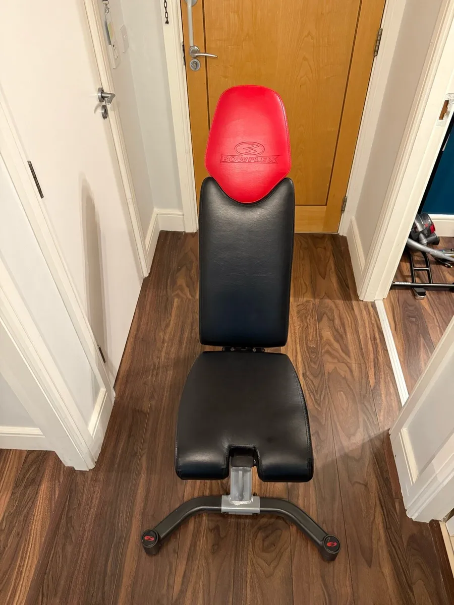 Blowflex Gym bench - Image 4