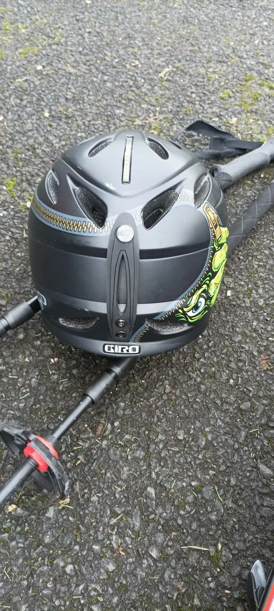 skis - Image 3